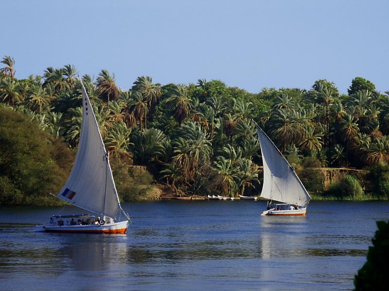 PICT1245.JPG - Felouque depuis le jardin botanique - Egypte