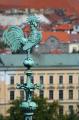 IMG_8126_t